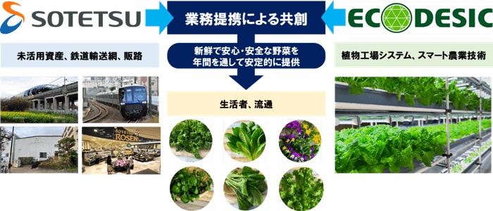 本実証事業における各社の役割（イメージ）