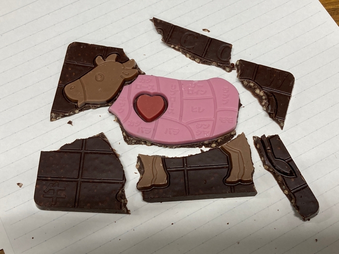 写真1 型抜き遊びのできるチョコレート(失敗しました)