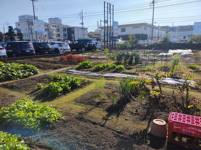 初めての農業への取り組みの舞台となる民間市民農園「サンデーファーム」