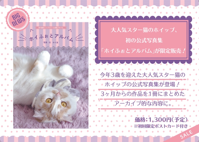 ホイップ写真集