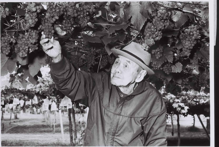 五一わいん 林農園 創始者 林 五一氏