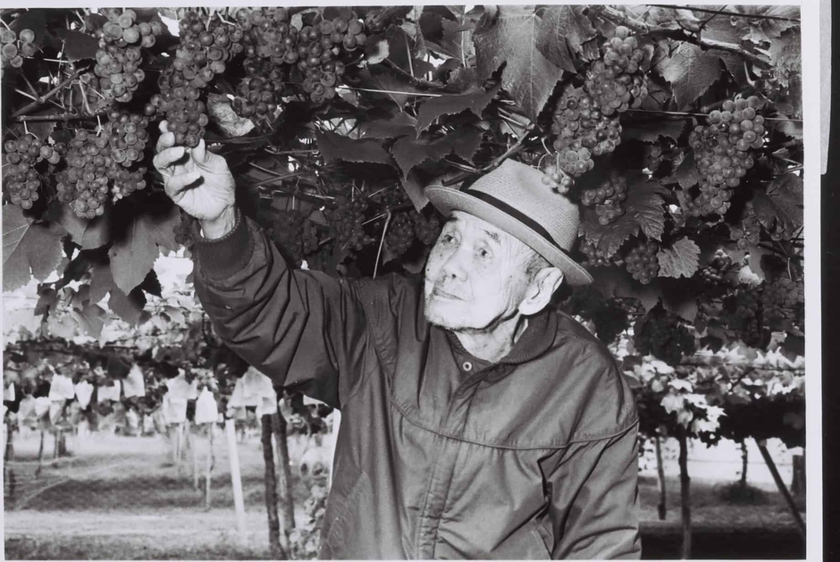 五一わいん 林農園 創始者 林 五一氏