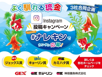 よく馴れる琉金Instagram投稿キャンペーン