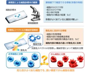 より高精度にがん細胞を見分ける原理を発見　～がん細胞の診断を支援する新たな細胞診断技術～