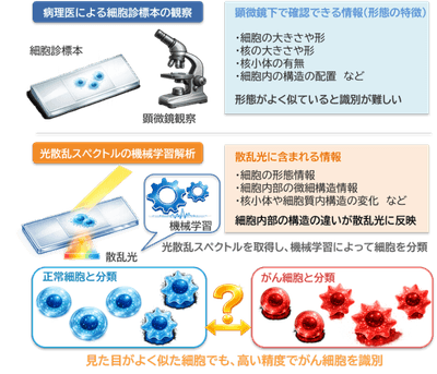 図1　研究概要