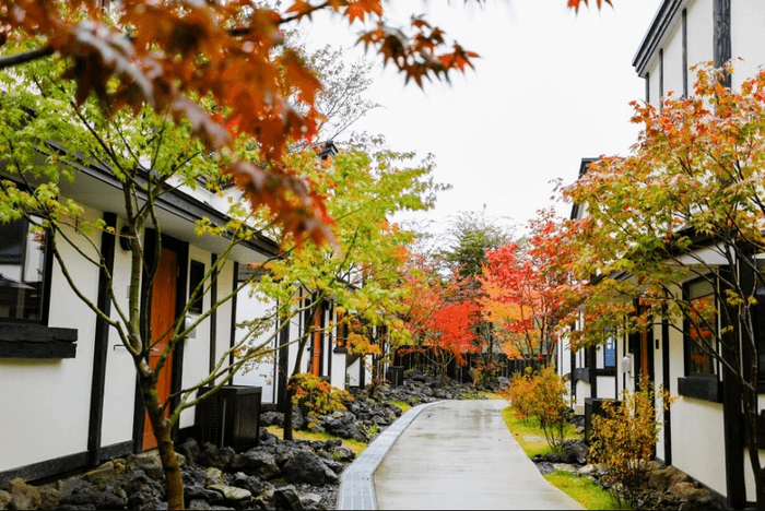 紅葉の様子