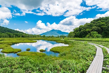 登山・ハイキング人気スポットランキング[夏編]を阪急交通社が発表 ～尾瀬や上高地、富士山や鳥海山など、 景観が素晴らしい全国の名所がずらり～