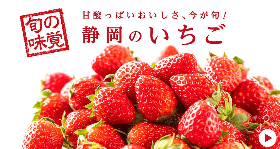 今が旬のいちごもあります!