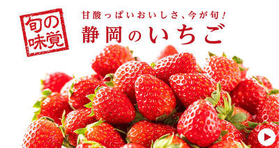 今が旬のいちごもあります!
