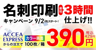 名刺印刷キャンペーン！カラー両面100枚/1箱 390円（税込み429円）の大特価