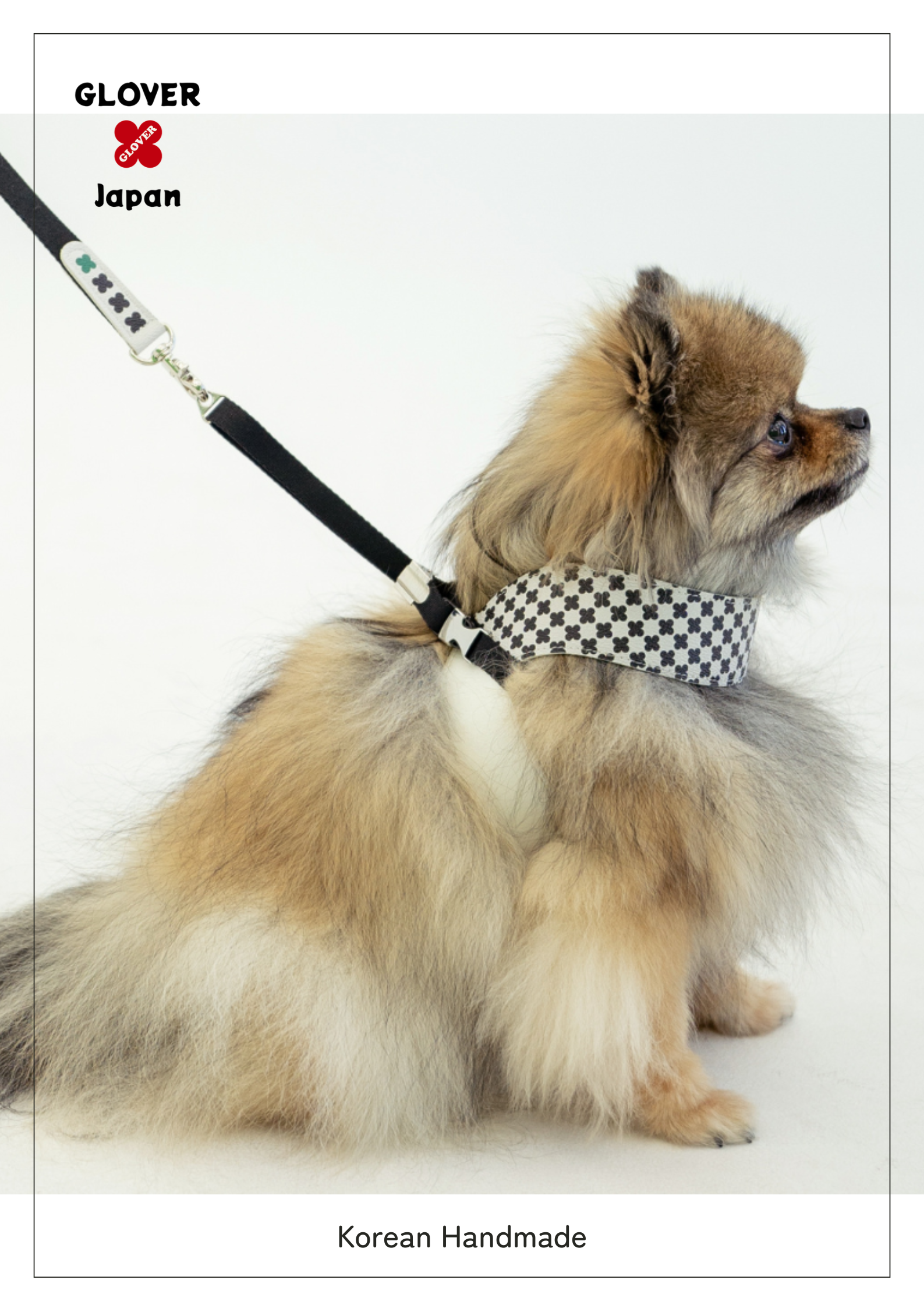 ハーネス小型犬着用