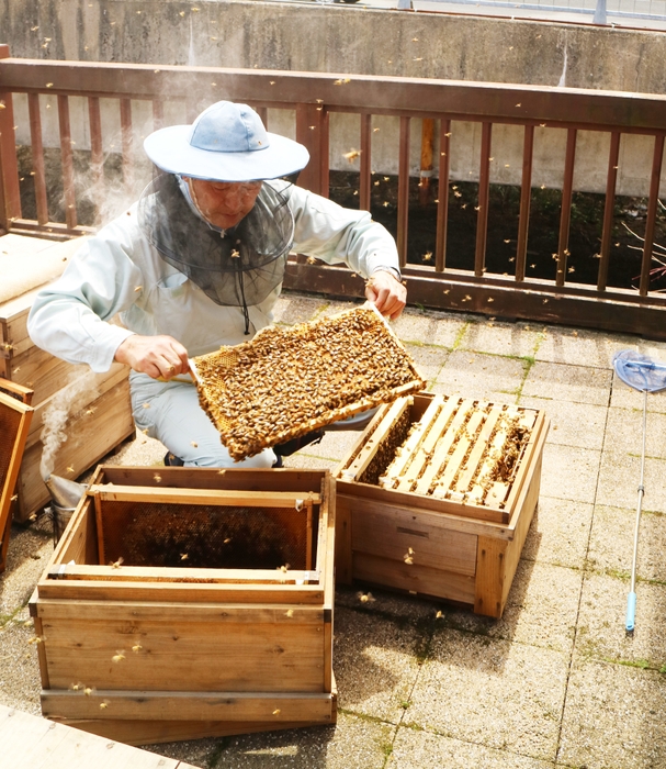 ぷち養蜂場2