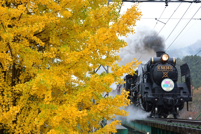 SLパレオエクスプレス