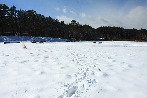 雪遊び場