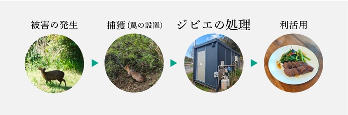 キョン利活用の全体像