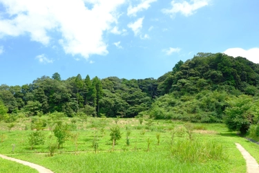 “自然の森をつくるお墓”　 千葉県長南町のふるさと納税返礼品に10月より採用