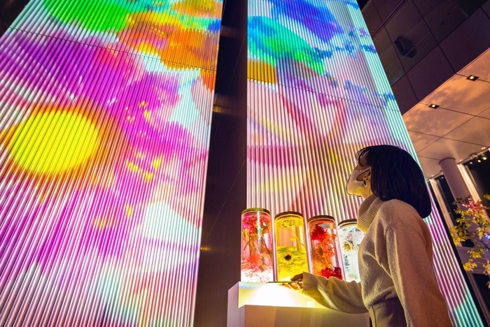 58階「天空庭園」ツインタワーコンテンツイメージ