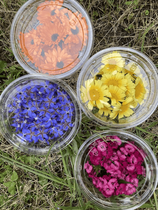 Edible Flowers