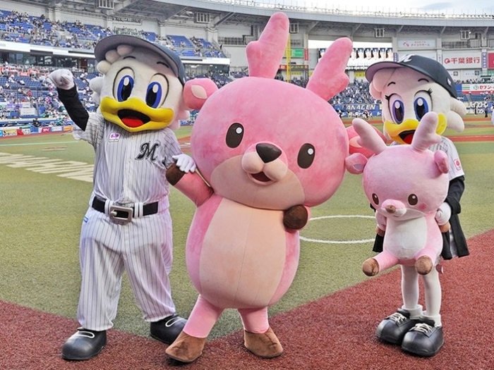 マリーンズのマスコットキャラクターとイワシカちゃん(2024年撮影)