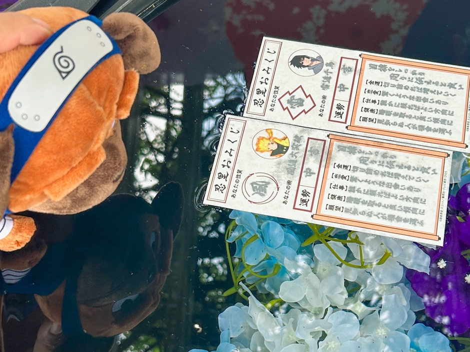 ▲あなたの運勢を占う忍里限定“水みくじ”