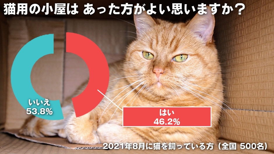 アンケート(猫小屋はあったほうがいい?)