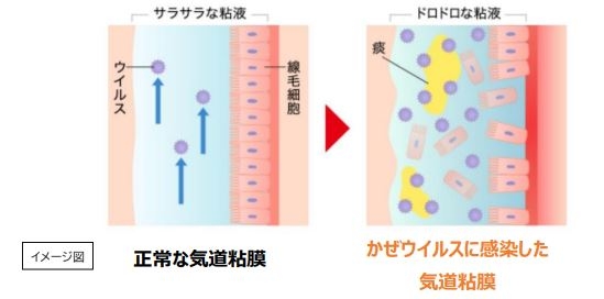 粘液イメージ図