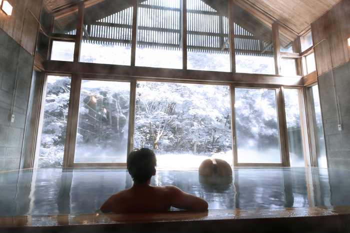 星野温泉　トンボの湯・内湯