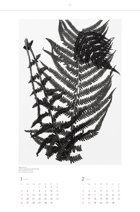 カレンダー1~2月