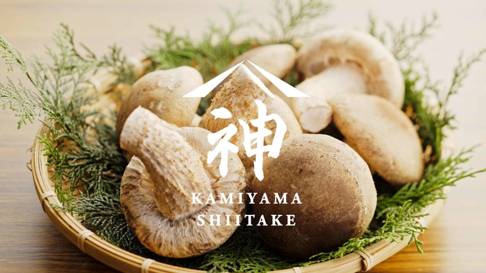 肉厚で軸まで柔らかいのが特徴