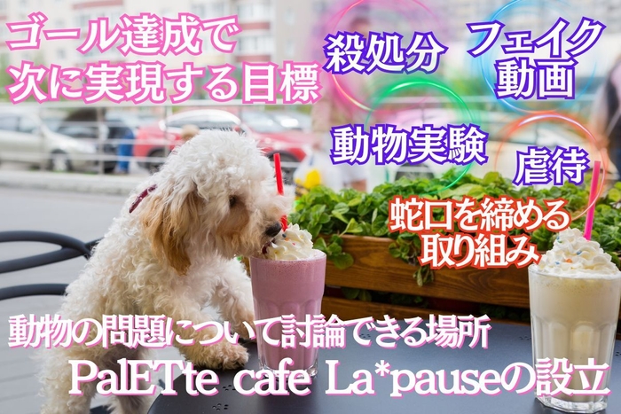 クラファンプロジェクト_5