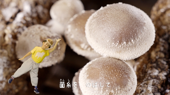 楽しくしいたけのことも学ぶことができる