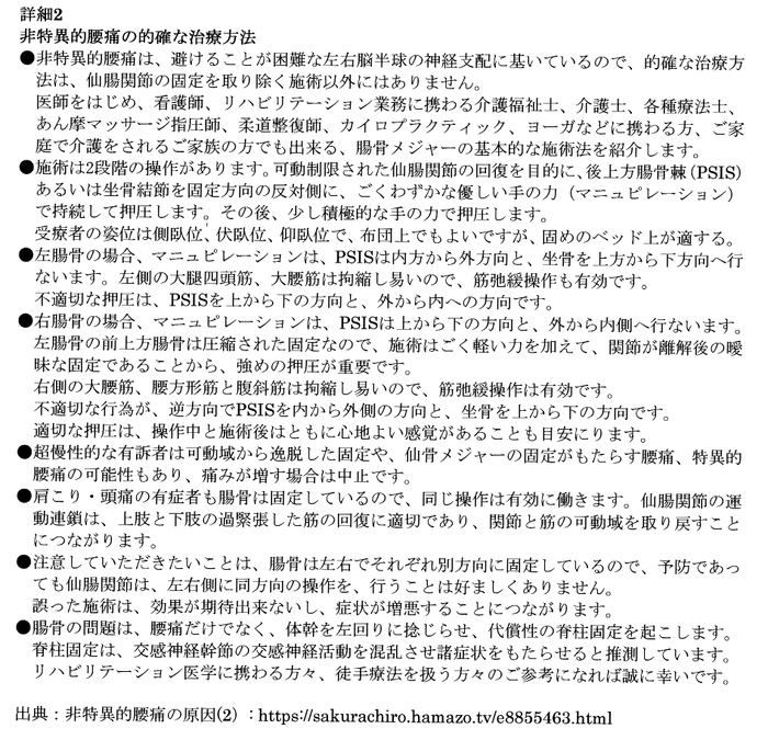 詳細2