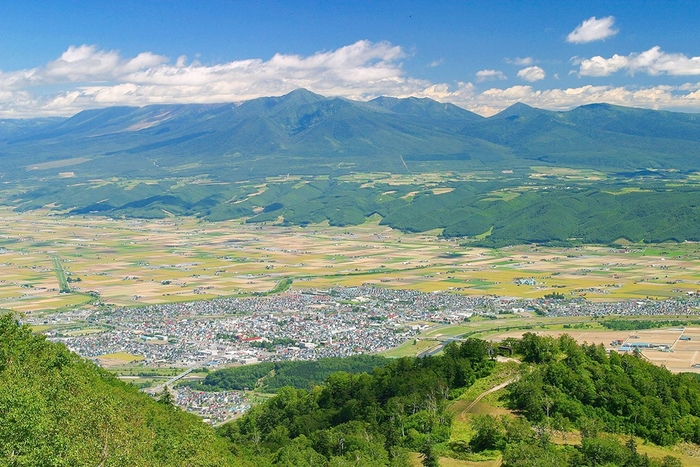 十勝岳連峰と富良野市街地(富良野美瑛広域観光推進協議会ホームページ内「富良野美瑛 Photo Library」より)