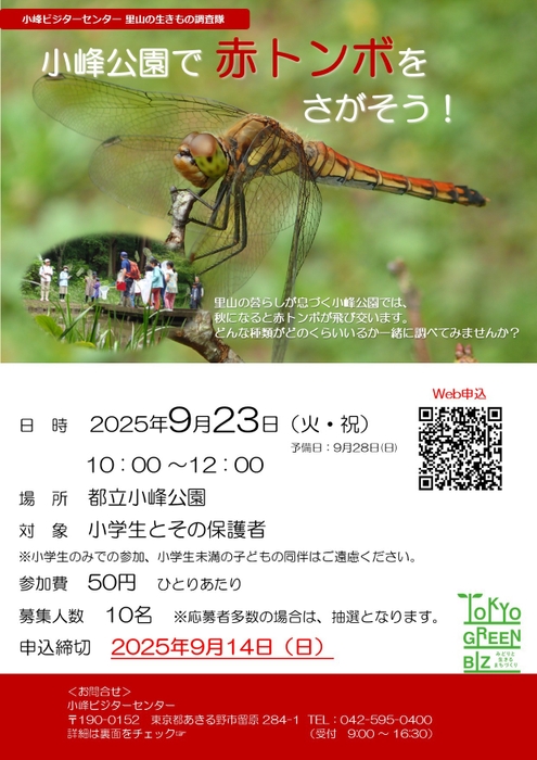 チラシ表