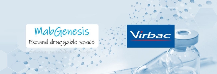 MabGenesis×ビルバック