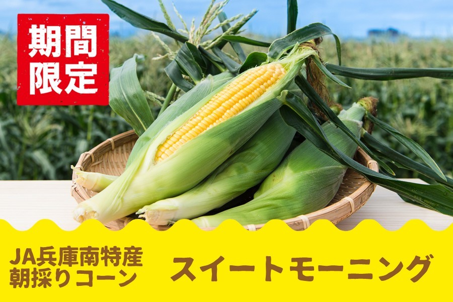 甘さがぎゅぎゅっと！　毎年大好評の兵庫県産「スイートモーニング」予約開始
新たに２Ｌサイズ登場、対象商品早割１０％ＯＦＦも!