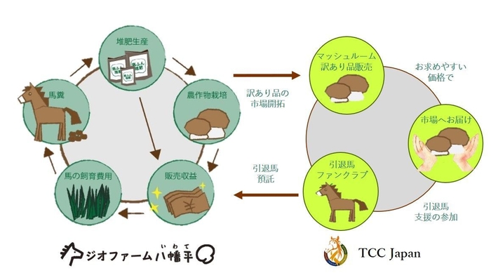 図1　引退馬とマッシュルームの生産＋販売モデル