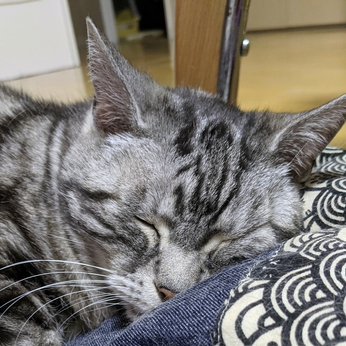 熟睡中 いびき動画は下のインスタかツイッターをクリックしてください