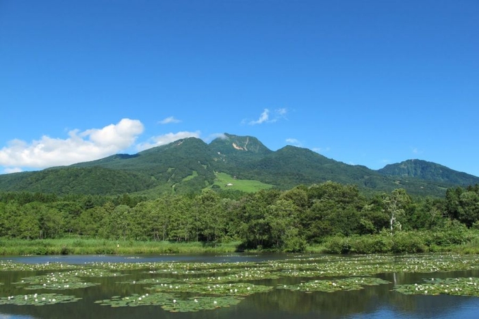 いもり池から臨む妙高山