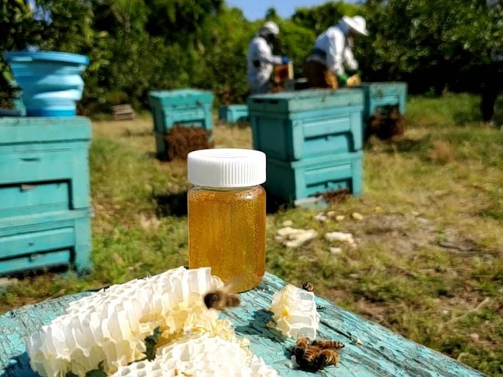 ミツバチと養蜂家と共に 循環型社会の実現へ 「未来の蜂蜜を守る」京都老舗蜂蜜屋のSDGs宣言