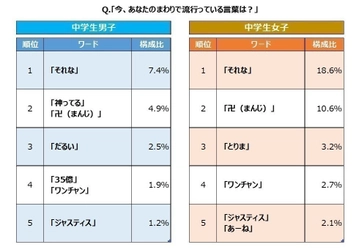 スプリックス、中学生男女が選ぶ『2017年 流行語』 アンケート結果を公開　 SNSの“タイムライン型コミュニケーション”時代を反映