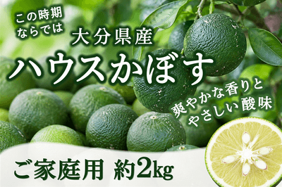 【数量限定】ご家庭用 大分県産ハウスかぼす 約2kg