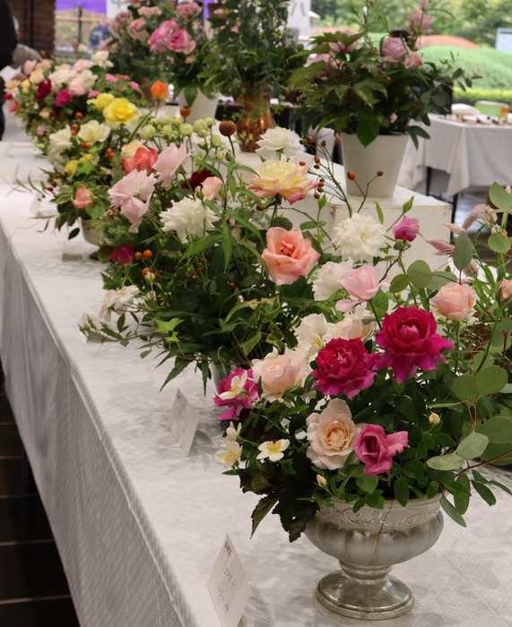 秋のバラ展(令和5年撮影)