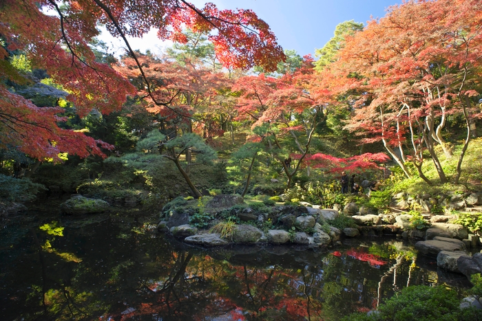 過去の紅葉の様子（次郎弁天池）