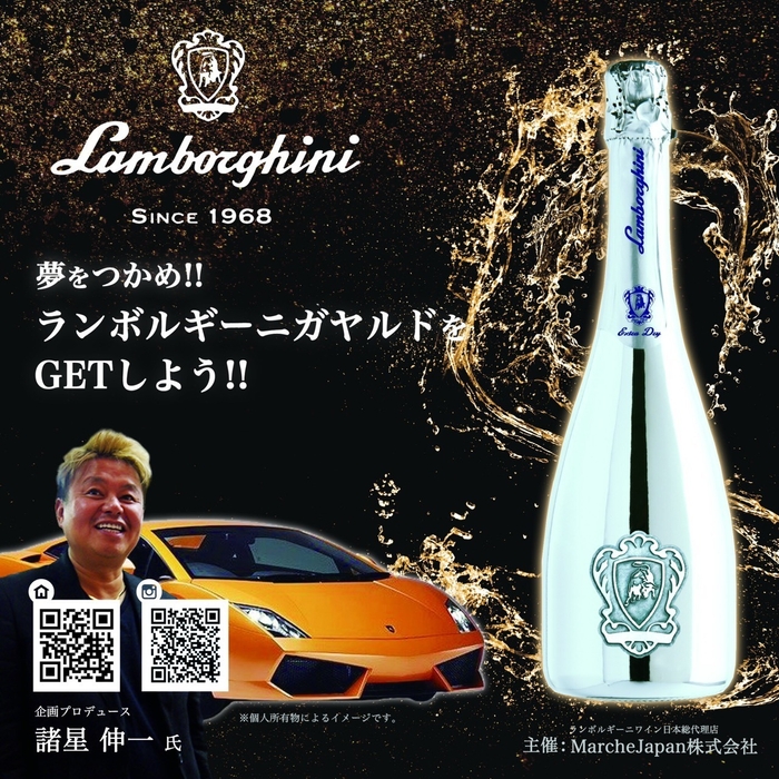 ランボルギーニ・ガヤルド(※画像は個人の所有物となるイメージとなります。)