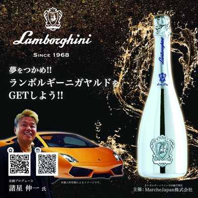 ランボルギーニ・ガヤルド(※画像は個人の所有物となるイメージとなります。)