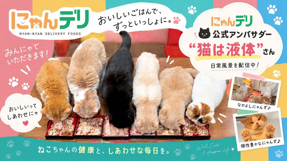 猫の書籍など多数にゃんバサダー「猫は液体」さんがアンバサダー就任