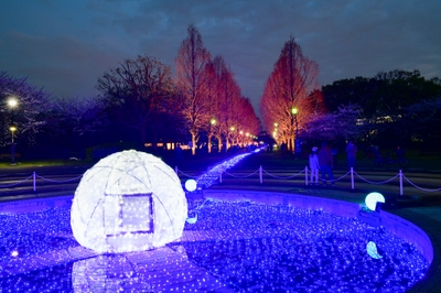 お花見広場寄りの噴水、球体オブジェクト(4月4日テスト点灯時撮影)
