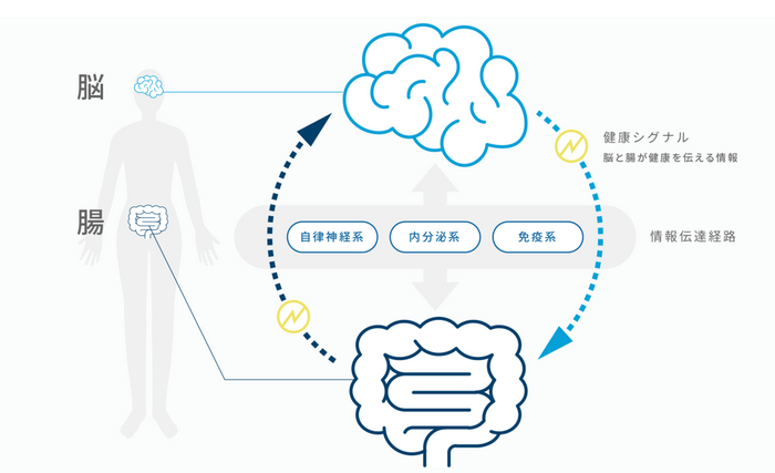 脳腸相関