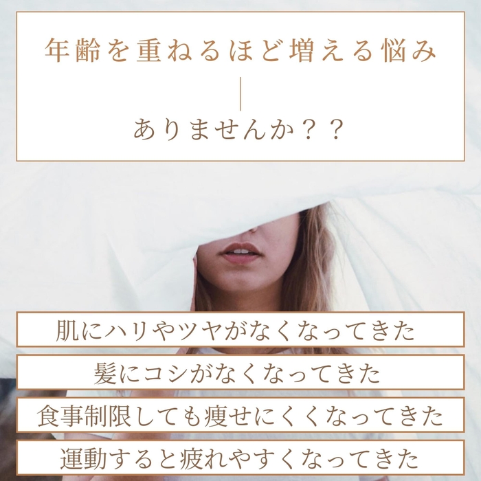 美容系/Bプロテイン